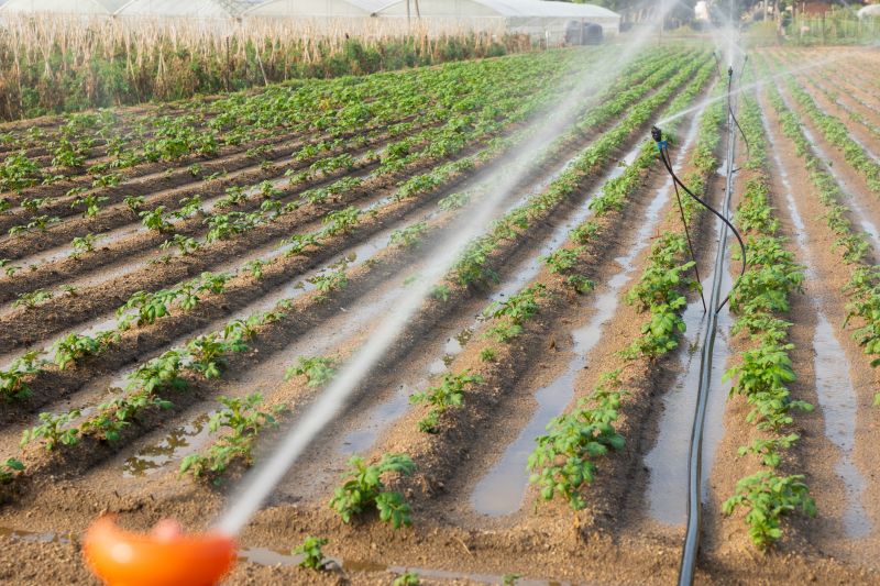 Crop Irrigation Installation in Aiken, SC