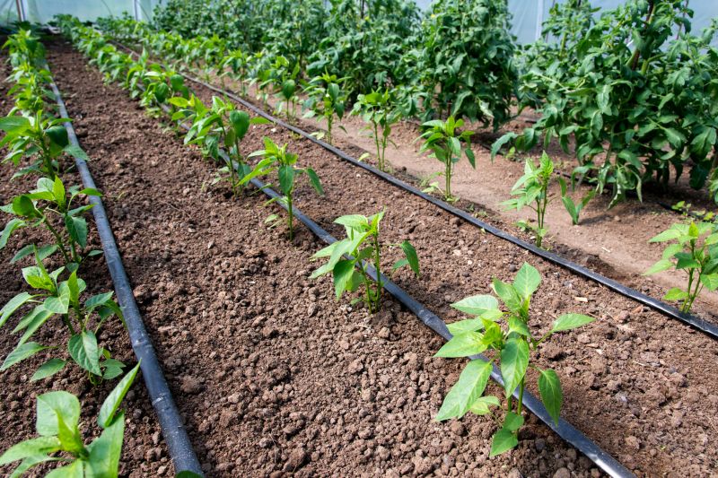 Irrigation Installation in Ventura County, CA