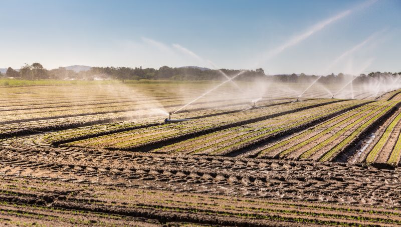Irrigation Service in Aiken, SC