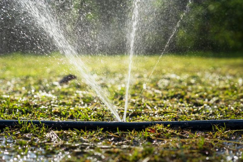 Irrigation System Replacement in Aiken, SC