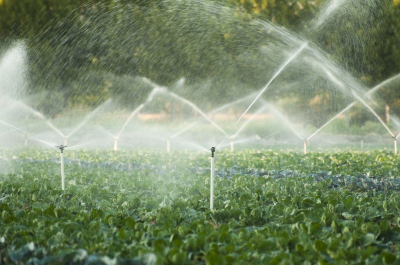 Plant Irrigation Installation in Ventura County, CA