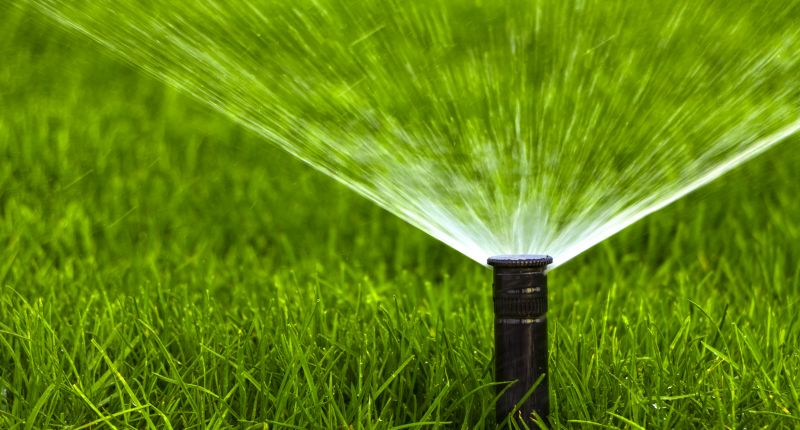 Sprinkler Head Replacement in Aiken, SC
