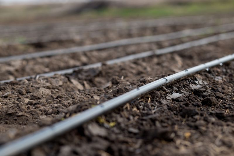 Crop Irrigation Installation in Honolulu, HI