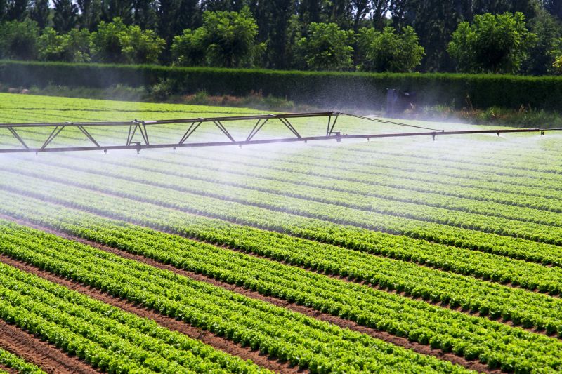 Crop Irrigation Installation in Aiken, SC