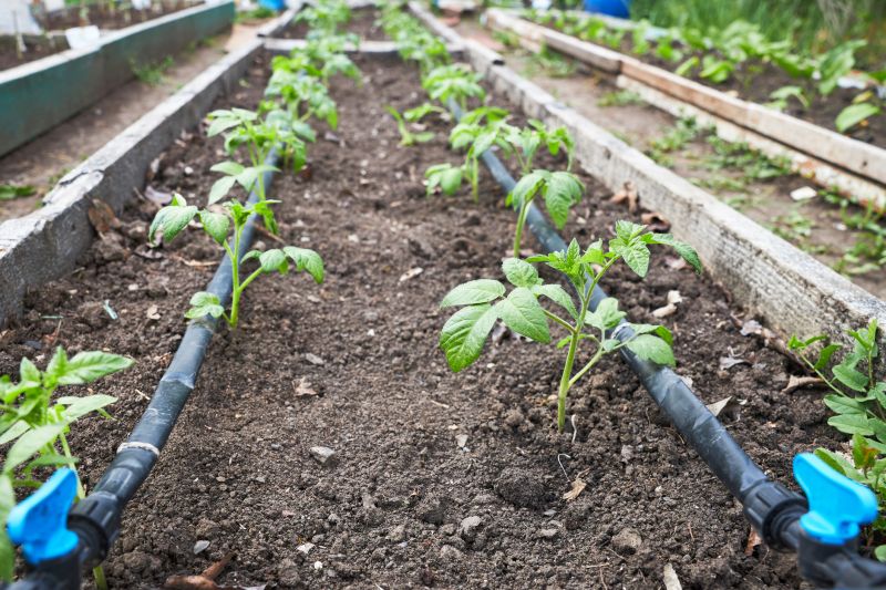 Drip Irrigation Installation