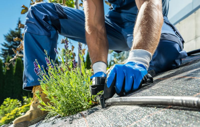 Drip Irrigation Installation in Ventura County, CA
