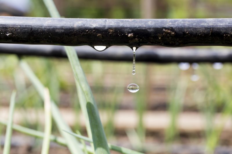 Drip System Installation in Ventura County, CA