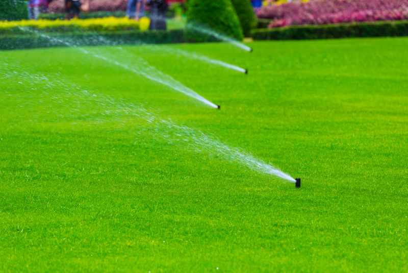Grass Sprinkler Installation in Aiken, SC