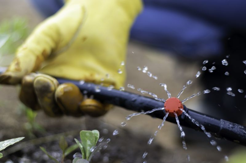 Irrigation Repair in Honolulu, HI