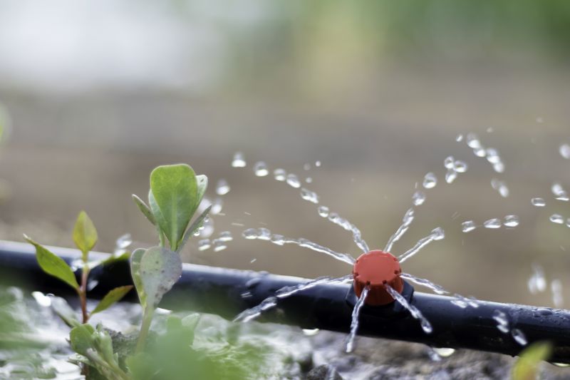 Irrigation System Replacement in Honolulu, HI
