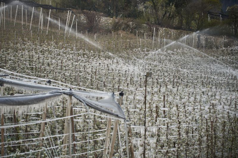Irrigation Winterization in Carson City, NV