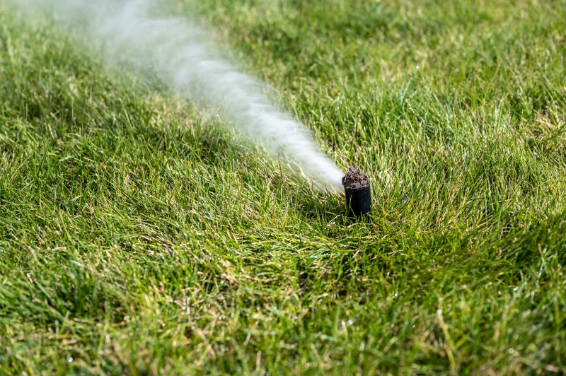 Irrigation Winterization in Honolulu, HI