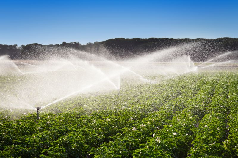 Irrigation Winterization in Honolulu, HI