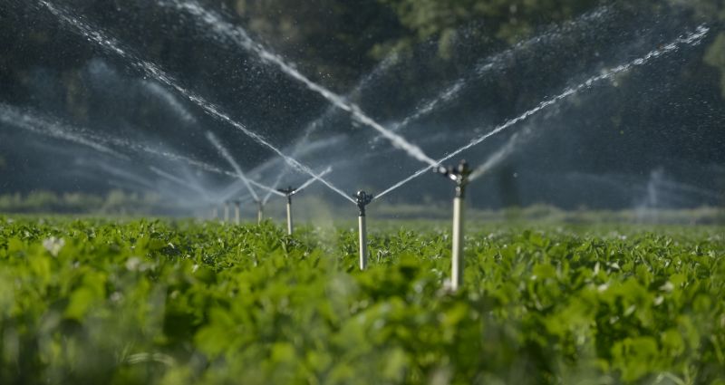 Lawn Irrigation Installation in Honolulu, HI