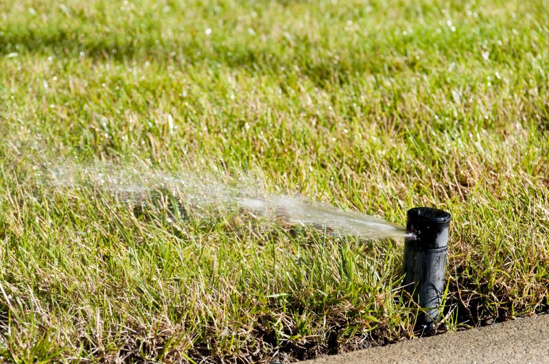 Lawn Irrigation Installation in Honolulu, HI