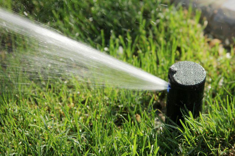 Lawn Sprinkler Replacement in Aiken, SC