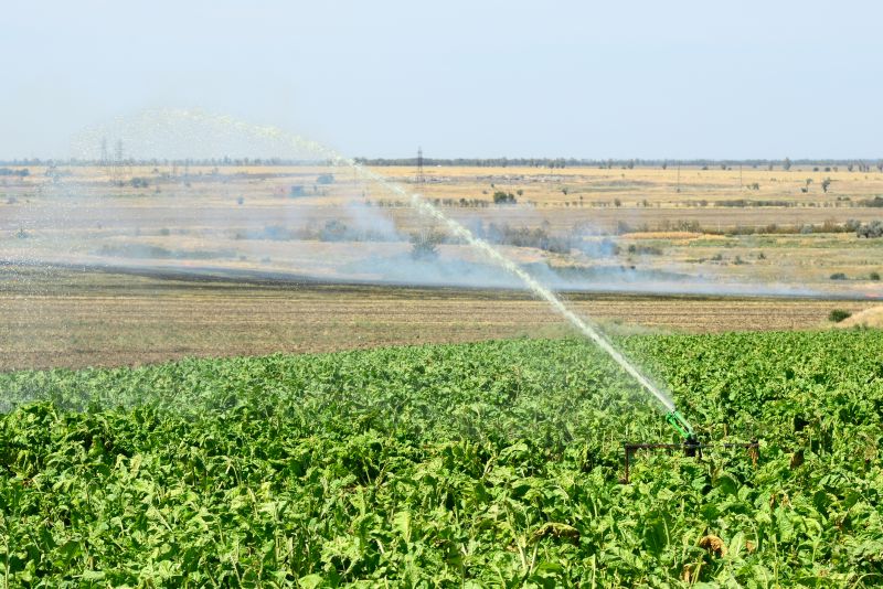 Mist Irrigation Installation in Ventura County, CA