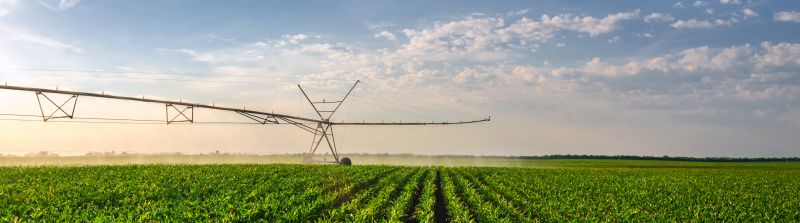 Mist Irrigation Installation in Ventura County, CA