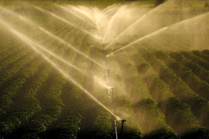 Mist Irrigation Installation in Aiken, SC