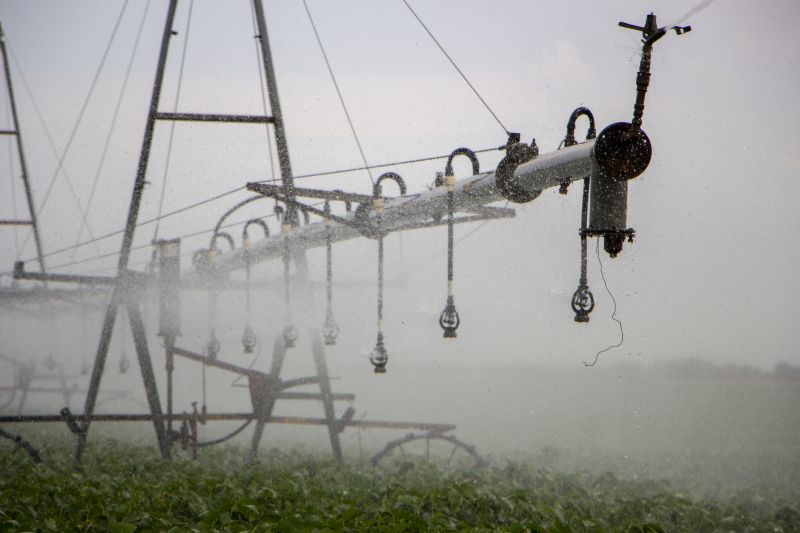 Mist Irrigation Installation in Aiken, SC