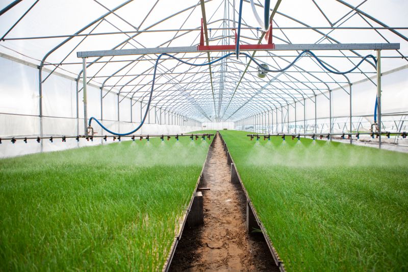 Plant Irrigation Installation in Ventura County, CA