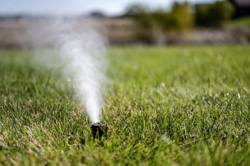 Sprinkler Blowout Service in Reno, NV