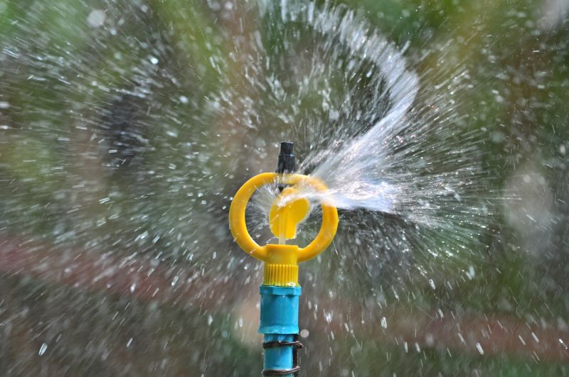 Sprinkler Blowout Service in Honolulu, HI