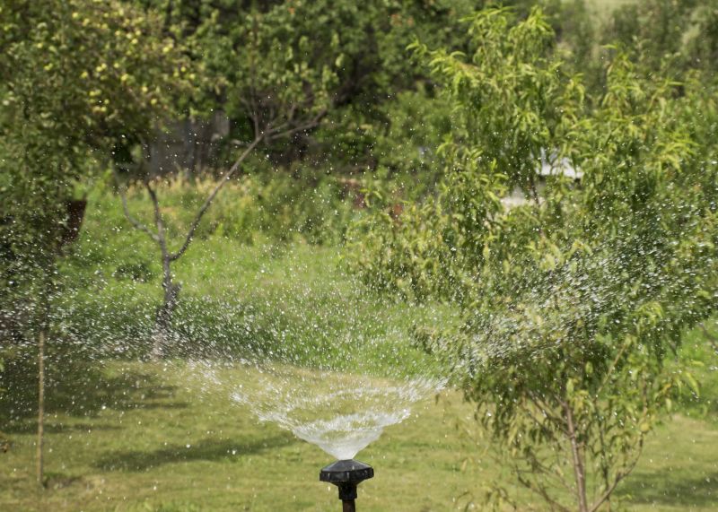 Sprinkler System Optimization in Aiken, SC