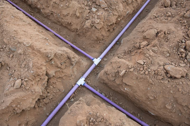 Sprinkler System Relocation in Aiken, SC
