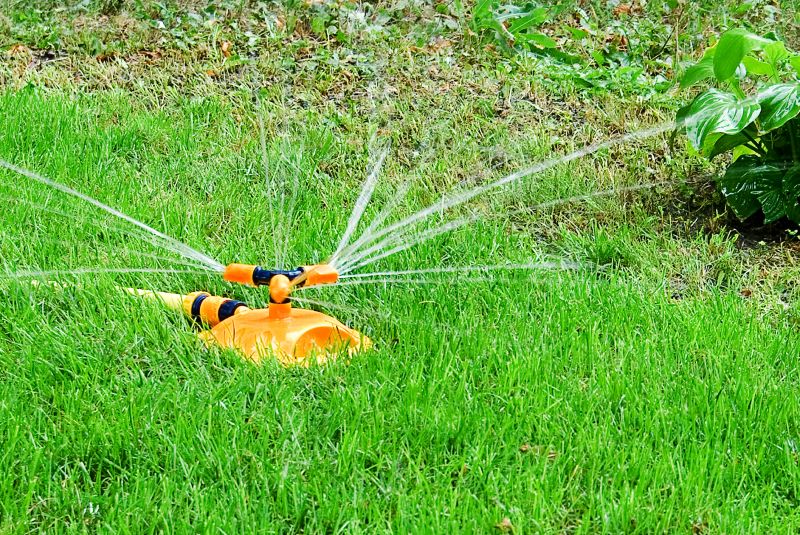 Sprinkler System Relocation in Honolulu, HI