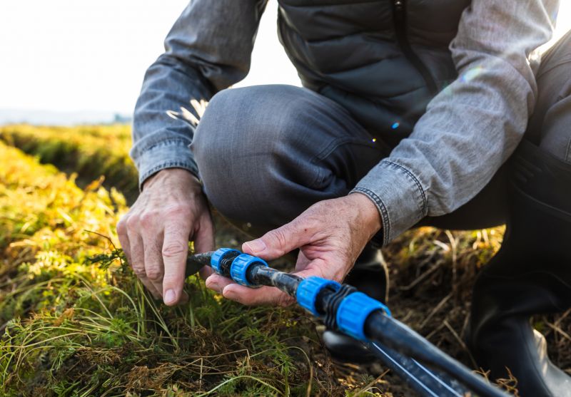 Sprinkler Valve Repair in Honolulu, HI