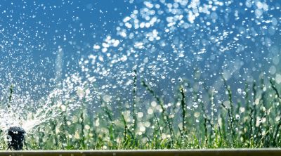Sprinkler Winterization in Carson City, NV