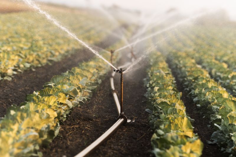 Yard Irrigation Installation in Honolulu, HI